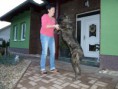 /album/fotogaleria-fotogaleria/achil-3-jpg/